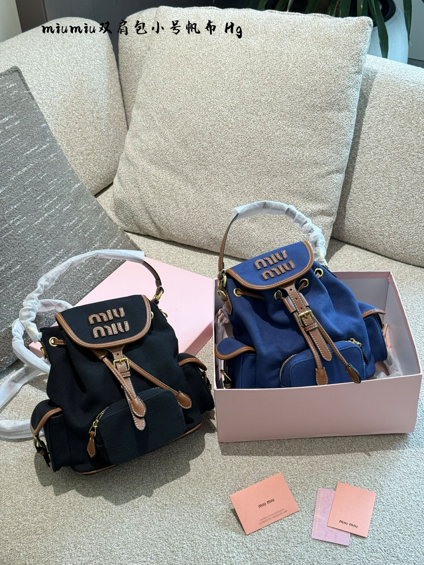 MiuMiu bag 251